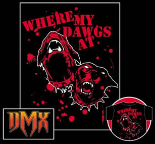 dmx.jpg