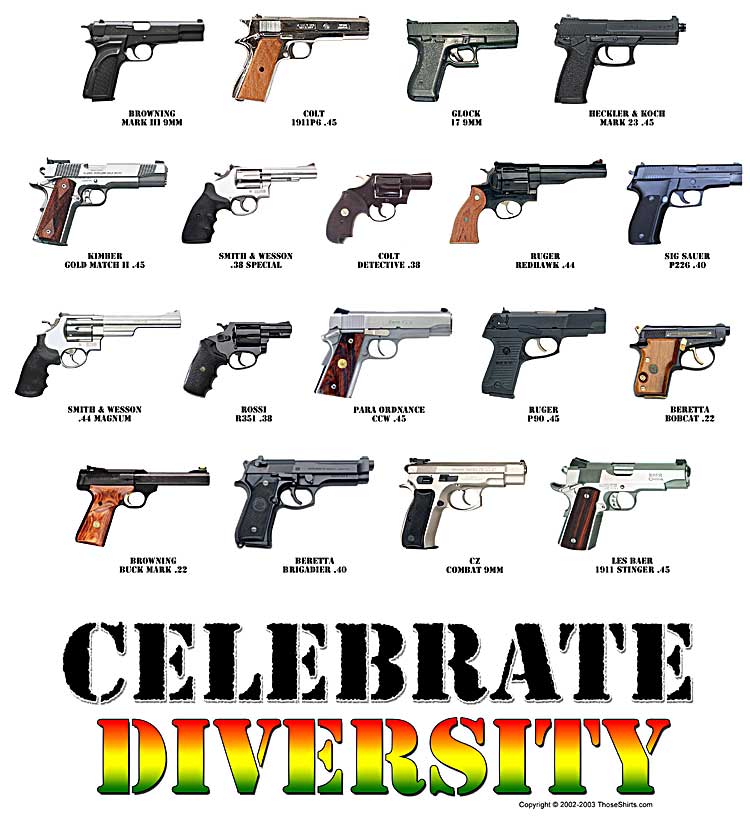 guncrazydiversity.jpg