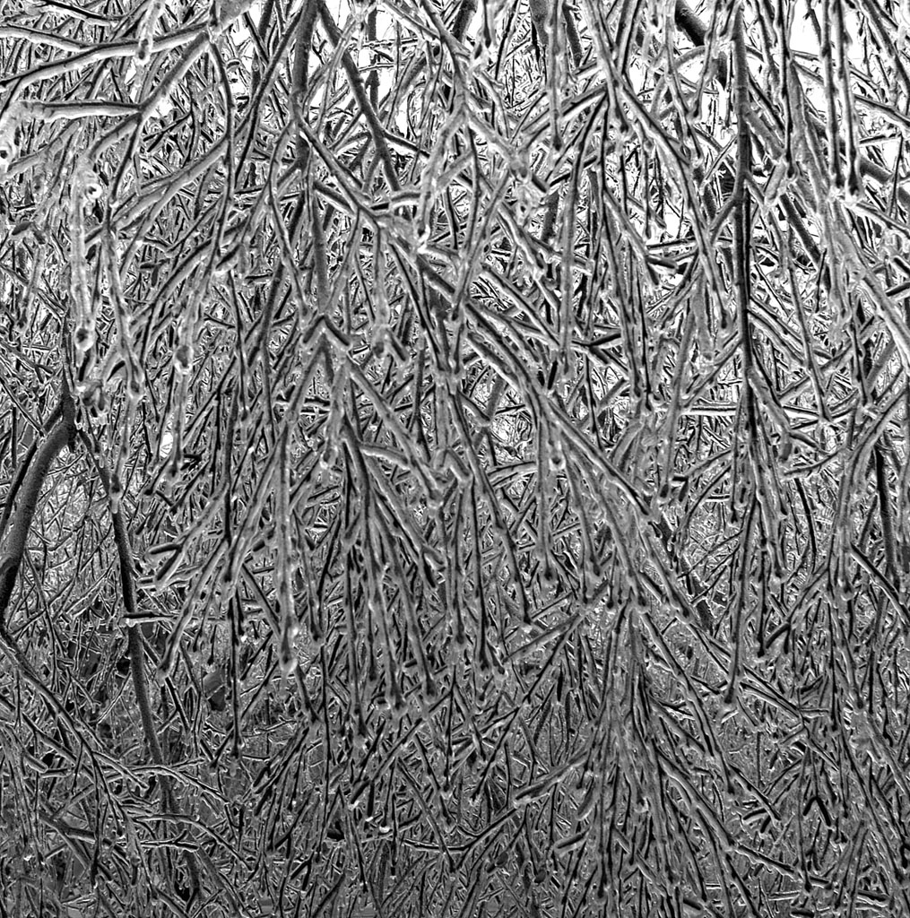 wintericicles.jpg