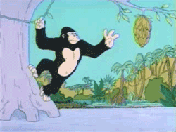 gorillashark.gif