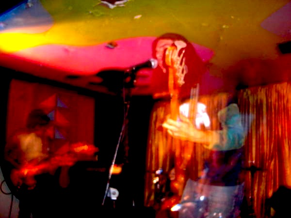 birdsofmaya.jpg birdsofmaya.jpg