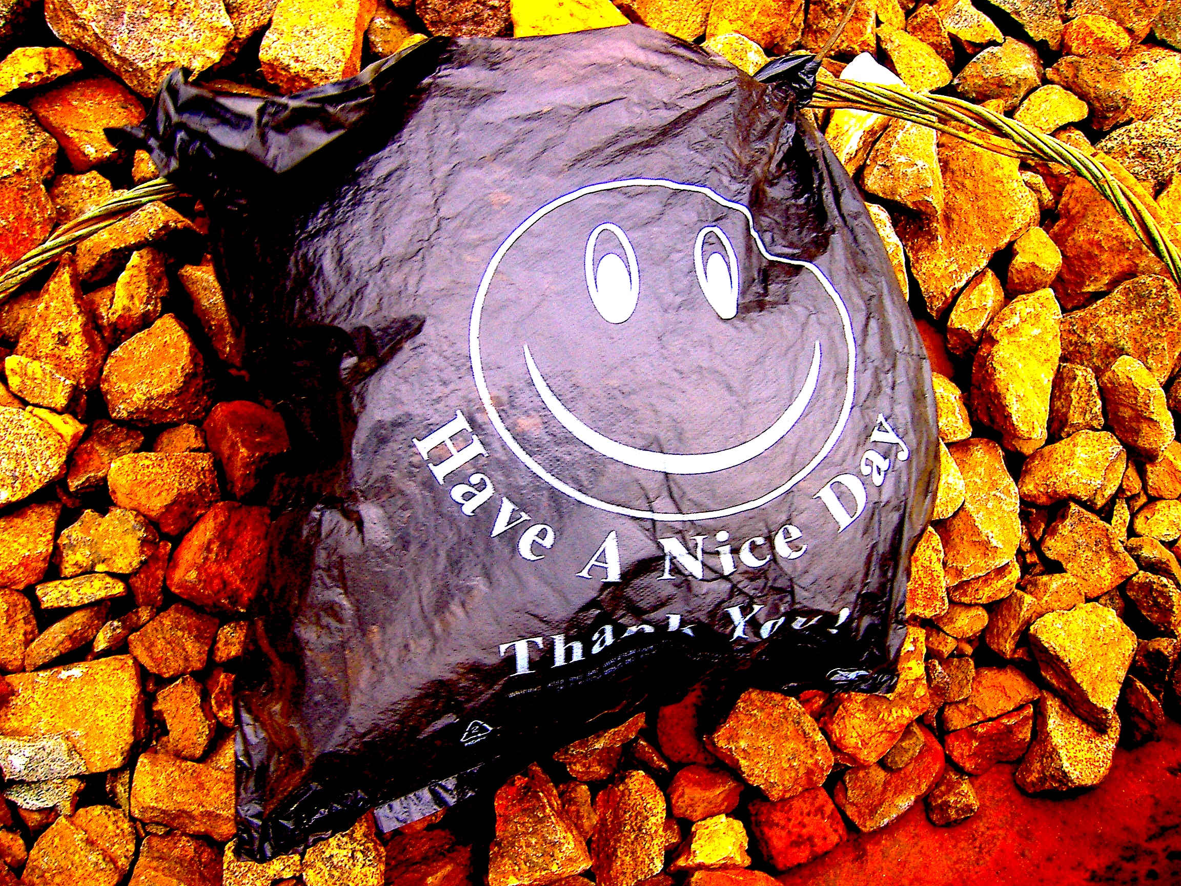 tis-have-a-nice-day.jpg tis-have-a-nice-day.jpg