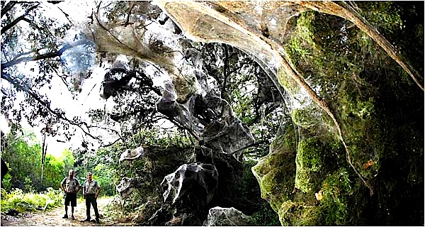 webtweaked.jpg webtweaked.jpg