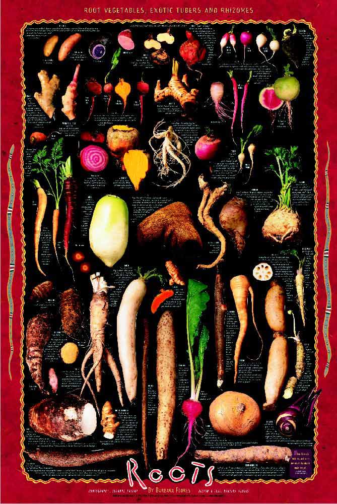 vegetablesrootsposter.jpg