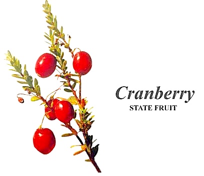 cranberry.jpg