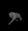 gorilla.gif