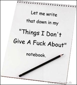 idontgiveafucknotebook.jpg