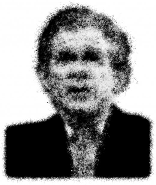 big_hairy_bush_1.jpg big_hairy_bush_1.jpg