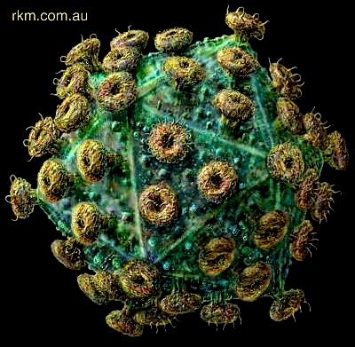 HIV1.jpg