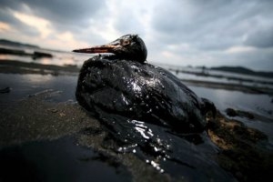 exxonoilspill_1.jpg