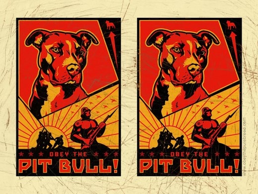 pitbull wallpaper. TODAY I SAW: Dawg Day