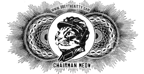 obeythekitty.jpg