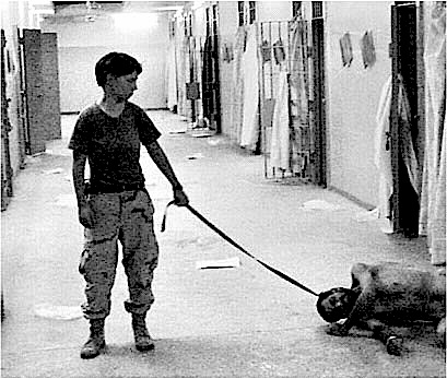 abu-ghraib-leashtweaked.jpg