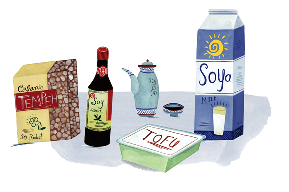 soy-productslo.jpg