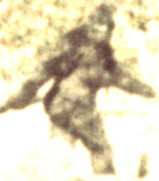 bigfoot_frames2.jpg bigfoot_frames2.jpg