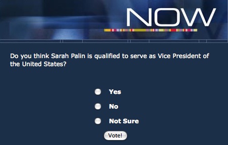 palinpbsvote.jpg