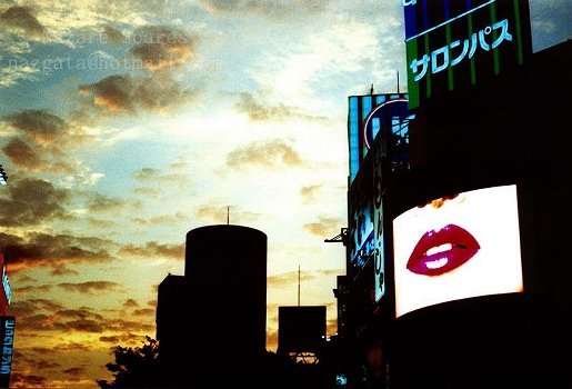 japansunset.jpg japansunset.jpg