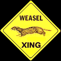 weasel.gif