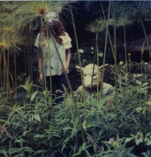 animalcollective5_1.jpg animalcollective5_1.jpg