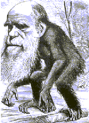 darwinmonkey.gif