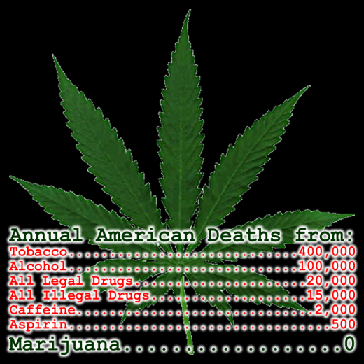 marijuana_deaths_shirt.png marijuana_deaths_shirt.png