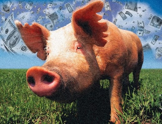 greedpigpork2000_1.jpeg greedpigpork2000_1.jpeg