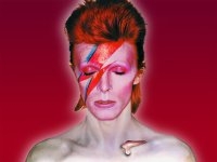 bowie_800_1.jpg