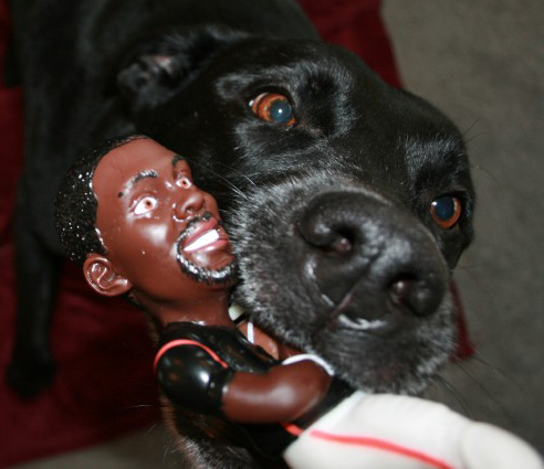 vick-chew-toy.jpg