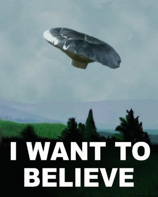 i_want_to_believe.jpg