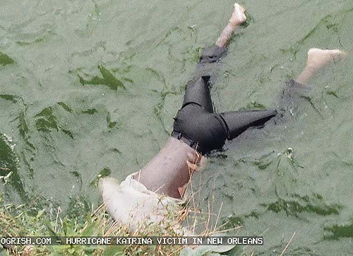 katrina_victim11.jpg
