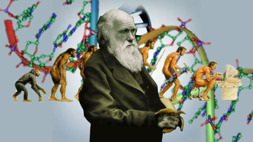 darwin-copy.jpg