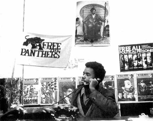 mumia-panther.jpg