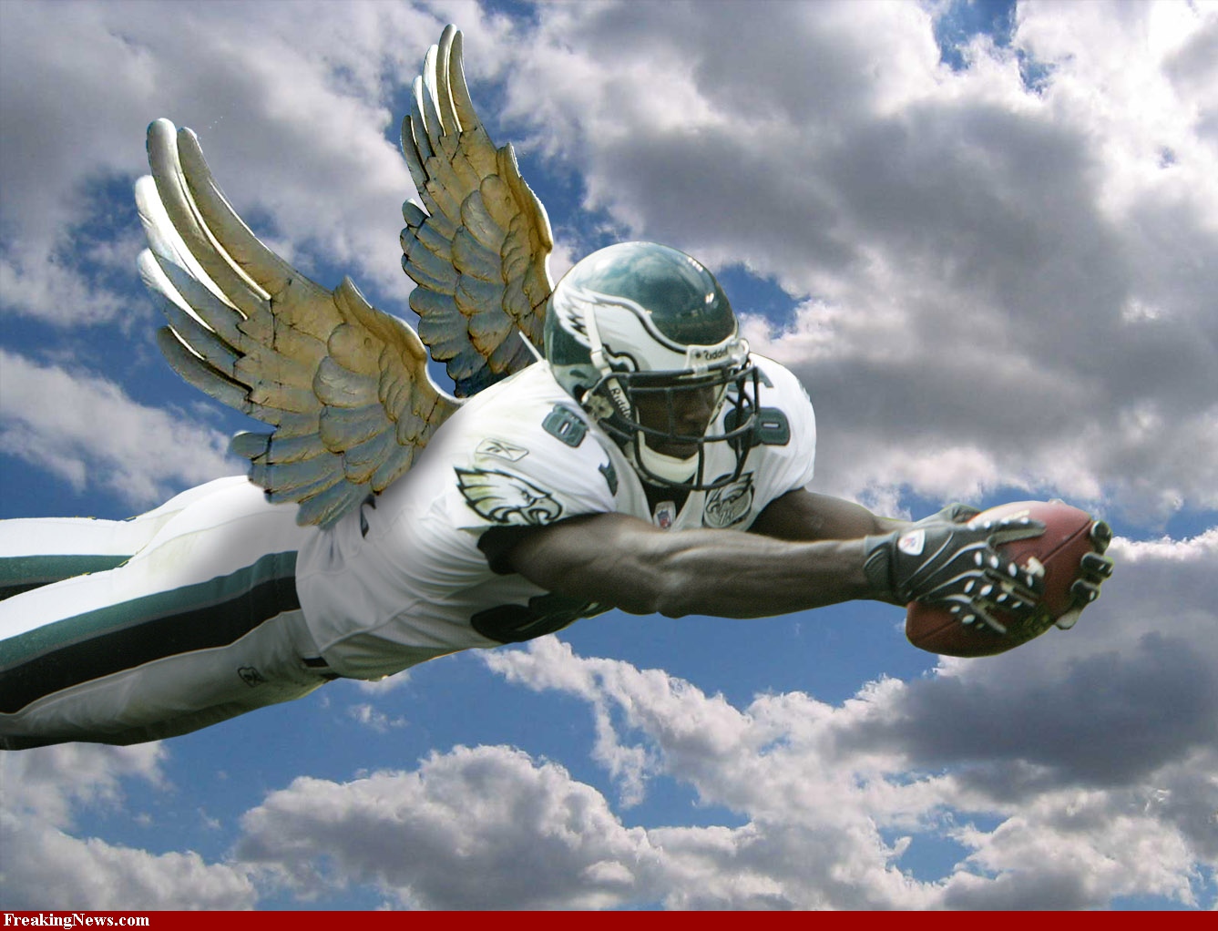 nfl-eagles-angel-33957.jpg