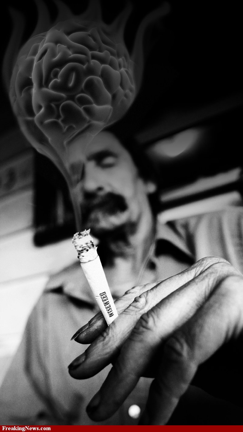 marijuana-against-alzheimer-s-23686.jpg