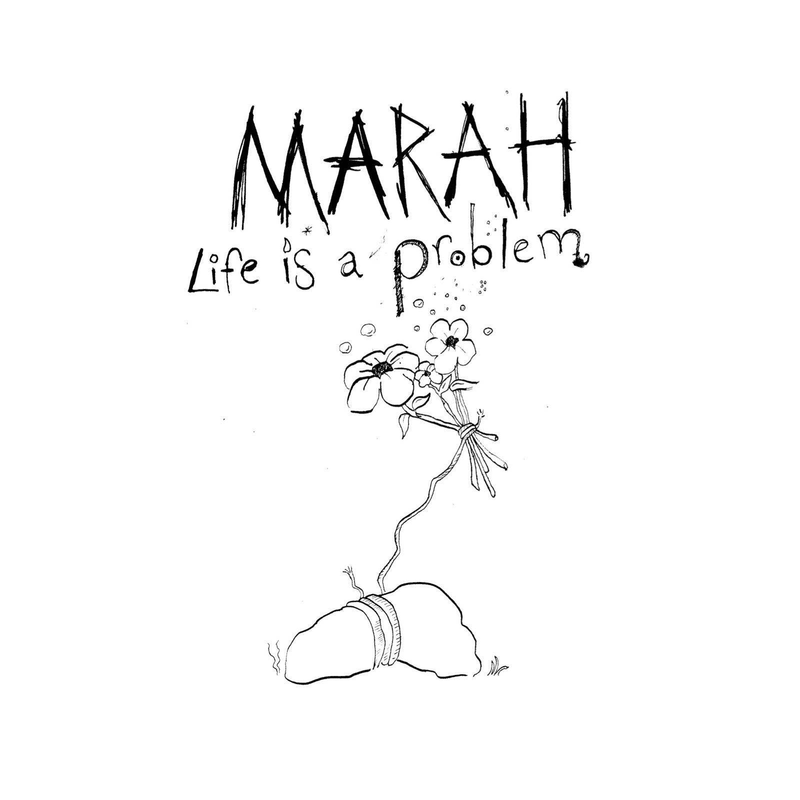 life_is_a_problem_cover_20100420_112953.jpg