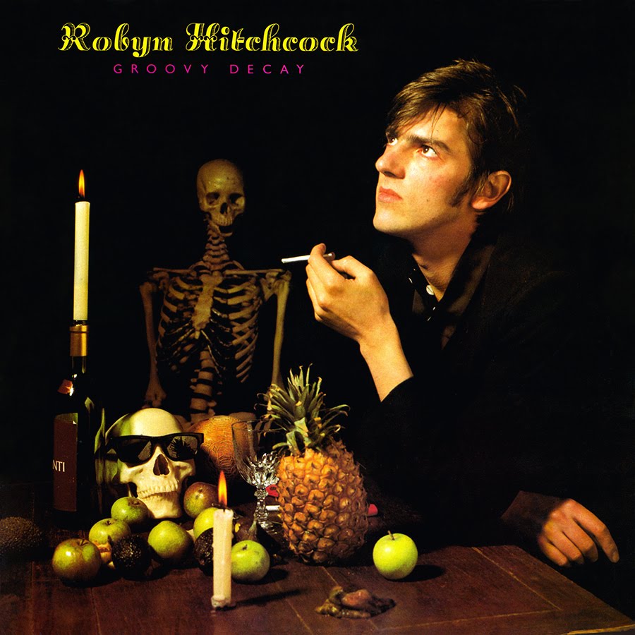 robyn_hitchcock_groovy_04.jpg