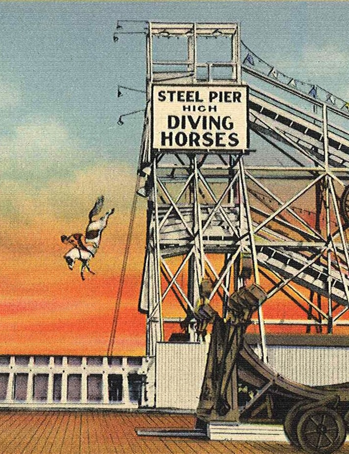The Great Steel Pier Horse Diving Revival 86’d Curated