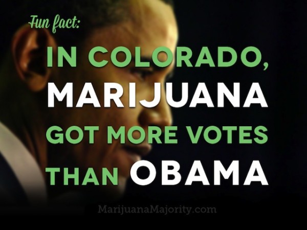 Fun Fact- In Colorado Marijuana Got More Votes Than Obama