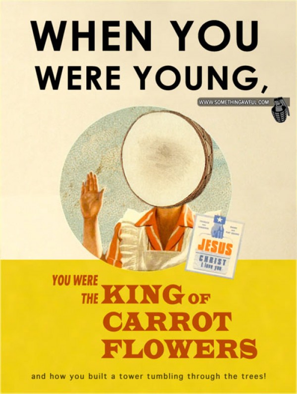 King Of Carrot Flowers