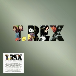 T Rex Vinyl Collection