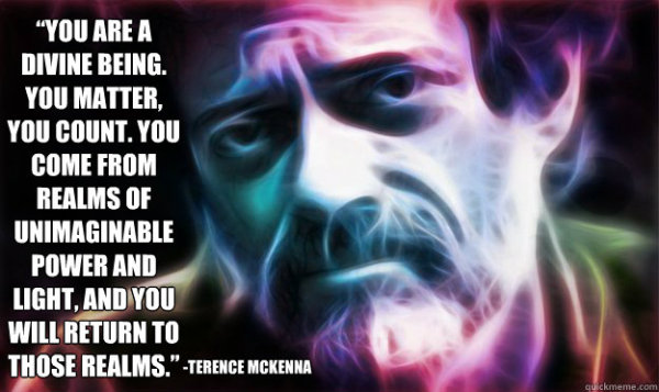 TerrenceMcKennaQuote