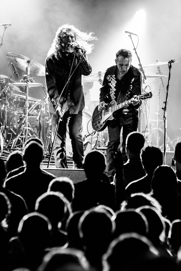 ROBERT_PLANT_by_DAN_Long