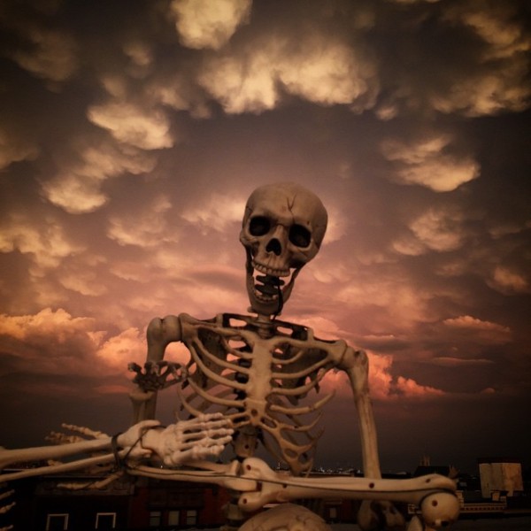 Roof Skeletons by Adam Walacavage