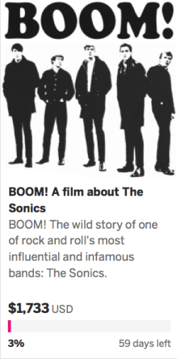 Soncis Indiegogo copy