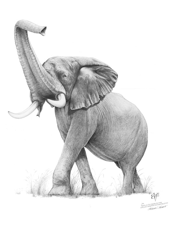 VenableElephant