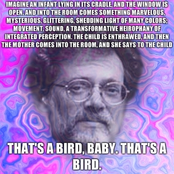 Terrence Mckenna 1