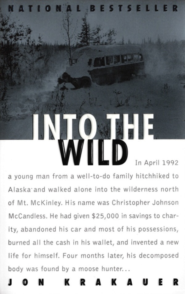 into-the-wild_ibmdgi