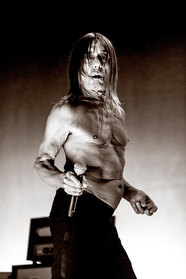 IGGY_POP_BY_DAN_LONG