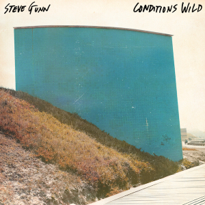 SteveGunn_ConditionsWild