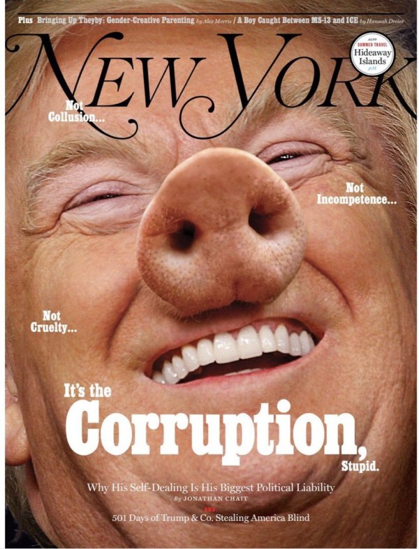 NY_Mag_Trump_Pig